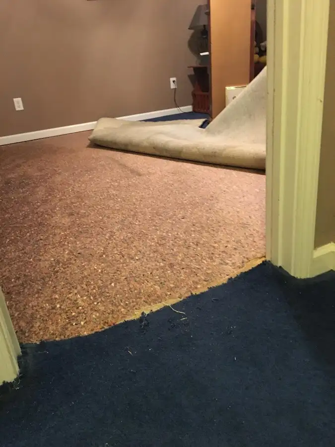 Carpet pad removal revealing water damage during Water Mitigation Services in Dumfries